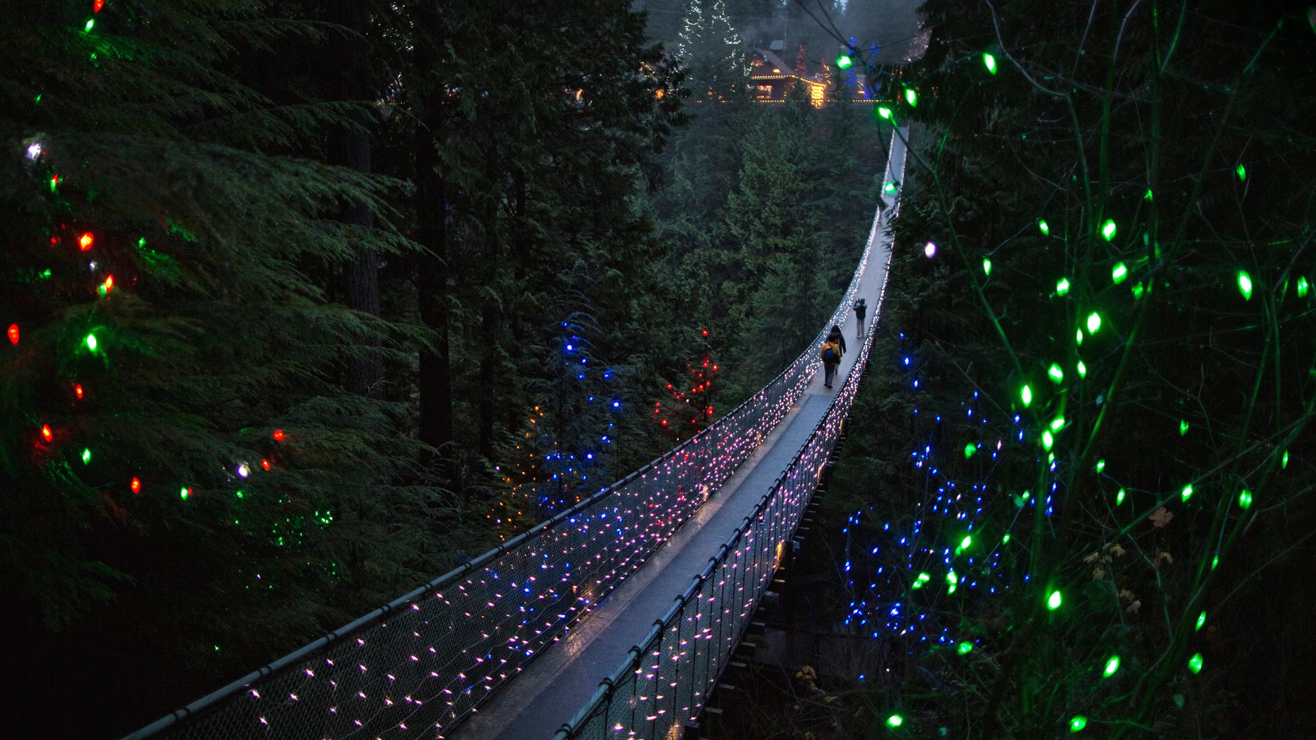 Capilano Xmas Lights