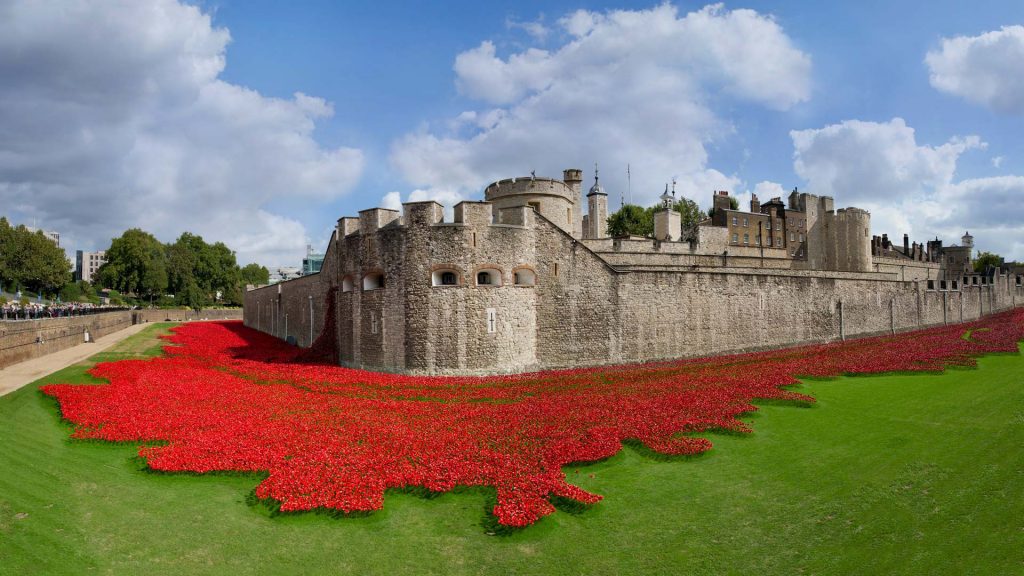 Ceramic Poppies