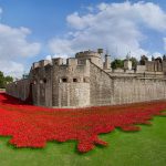 Ceramic Poppies