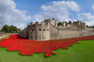 Ceramic Poppies