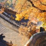 China Autumn Scene