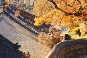 China Autumn Scene