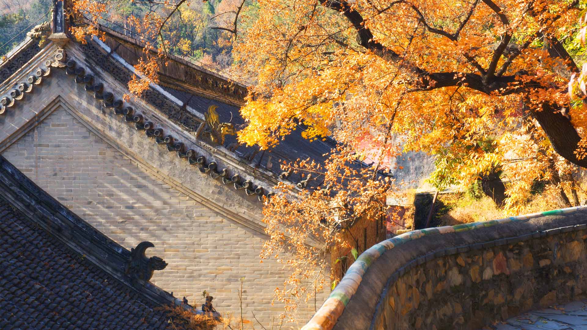 China Autumn Scene