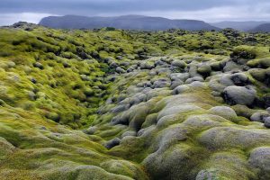 Eldraun Iceland