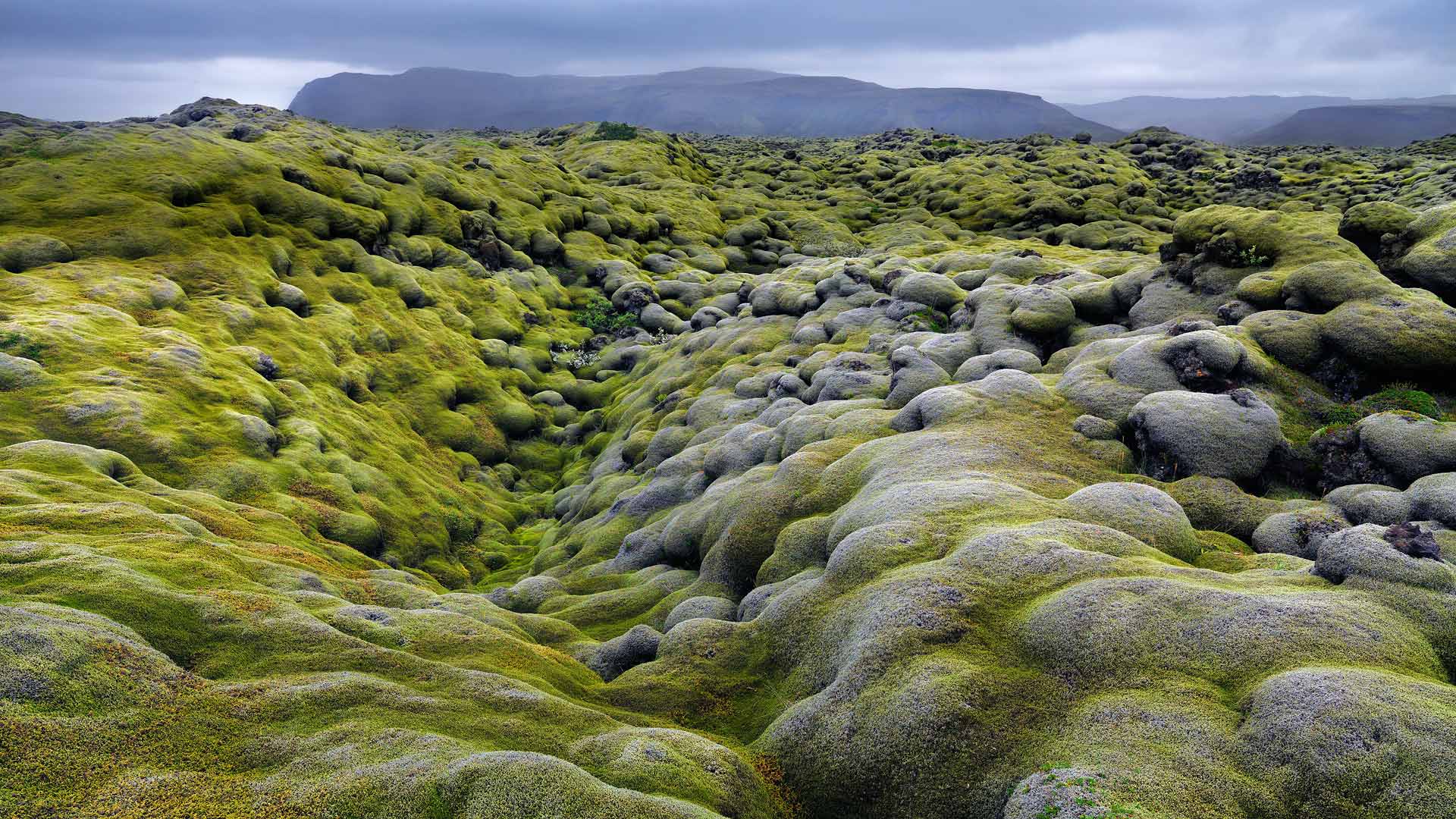 Eldraun Iceland