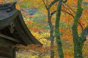 Kibune Shrine1