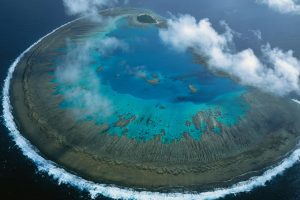 Lady Musgrave Atoll