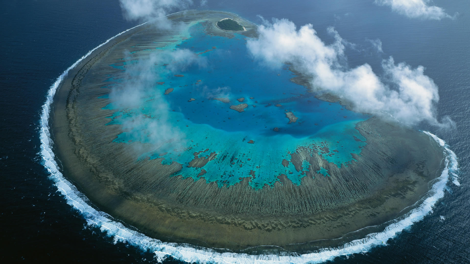 Lady Musgrave Atoll