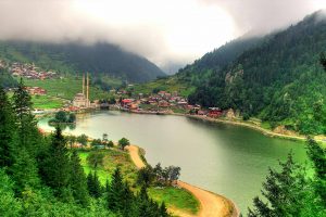 Long Lake Turkey