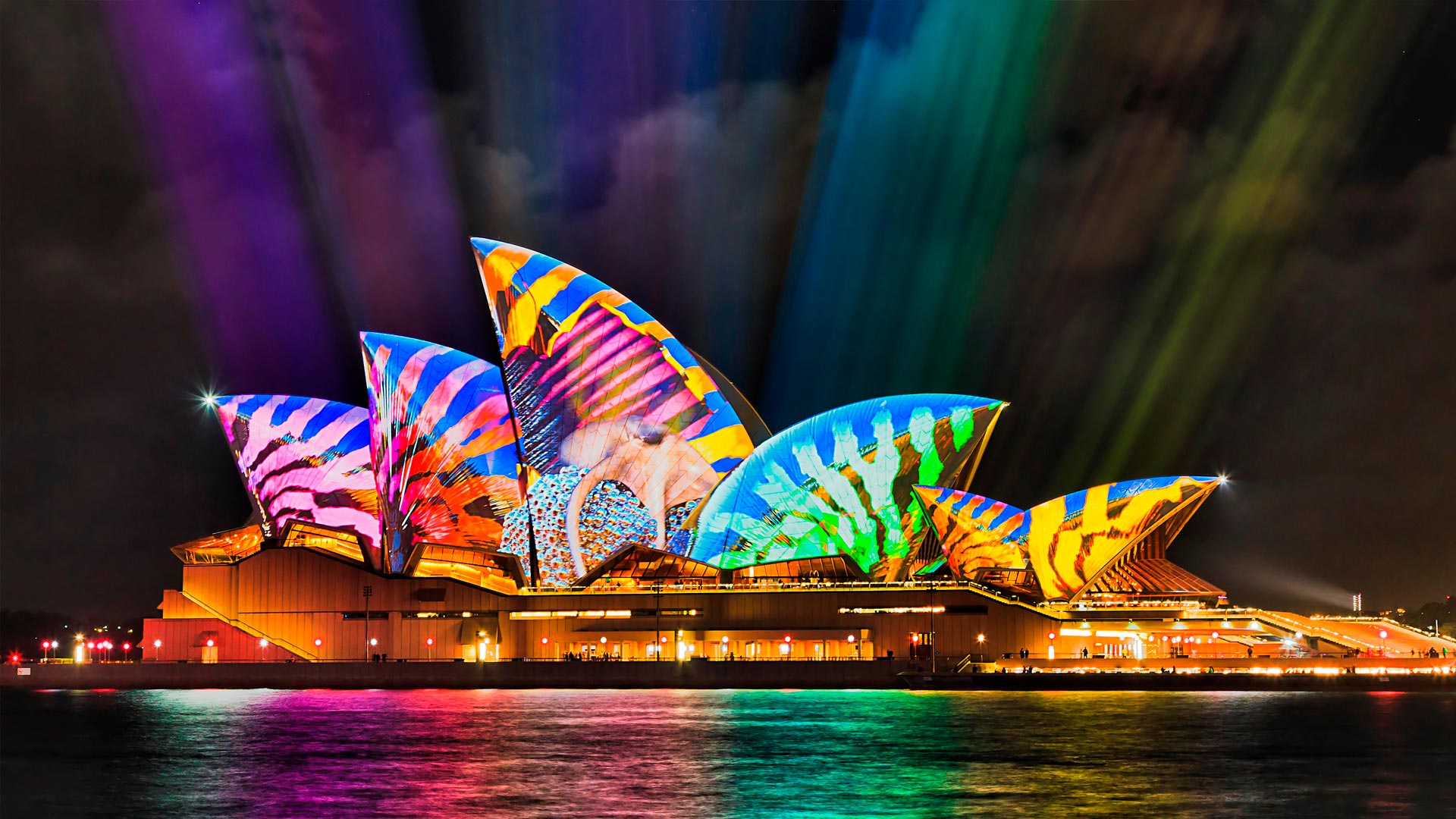 Opera House Jellyfish