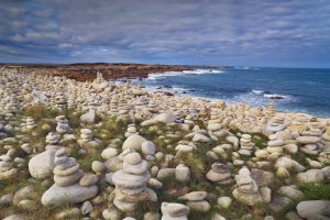 Pebble Beach Brittany