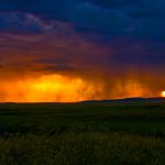 Sask Storm