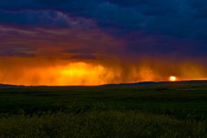 Sask Storm