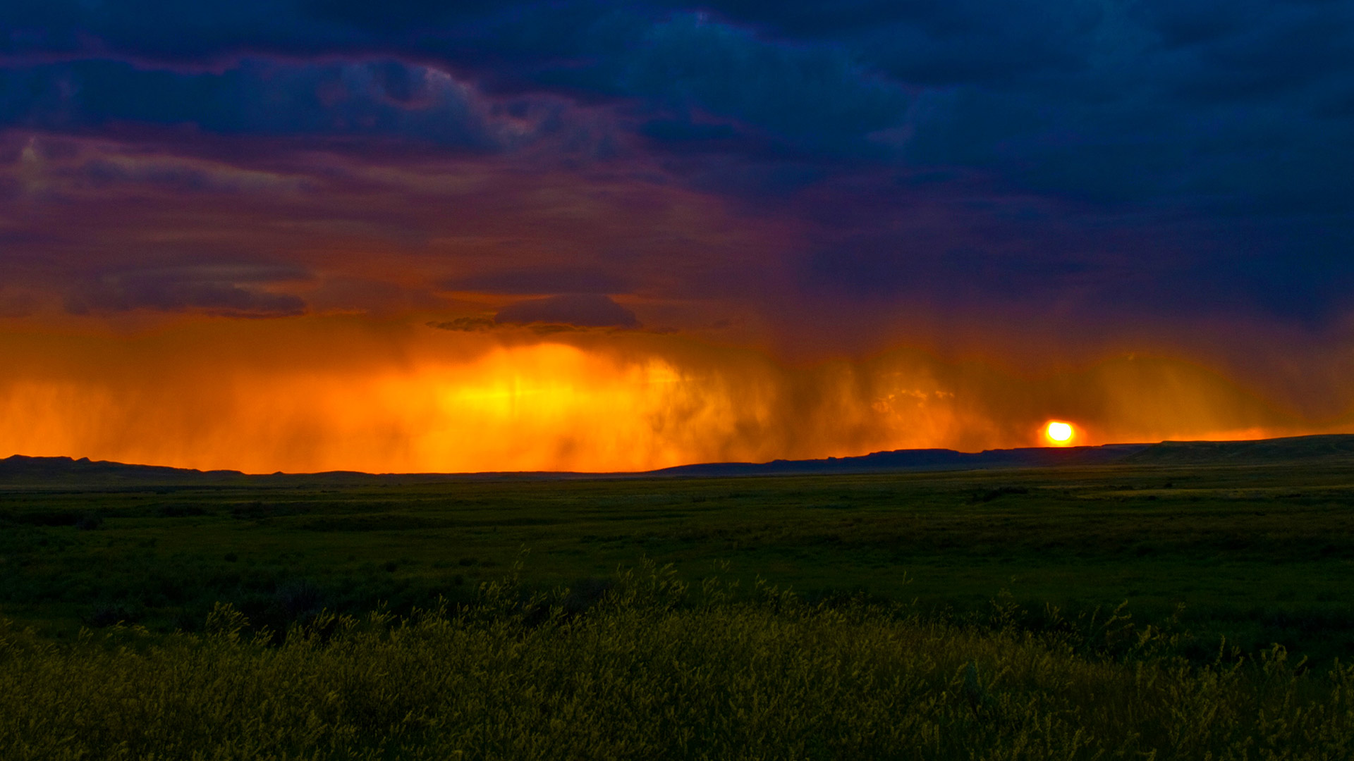 Sask Storm