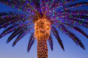 Temecula Valley Lights