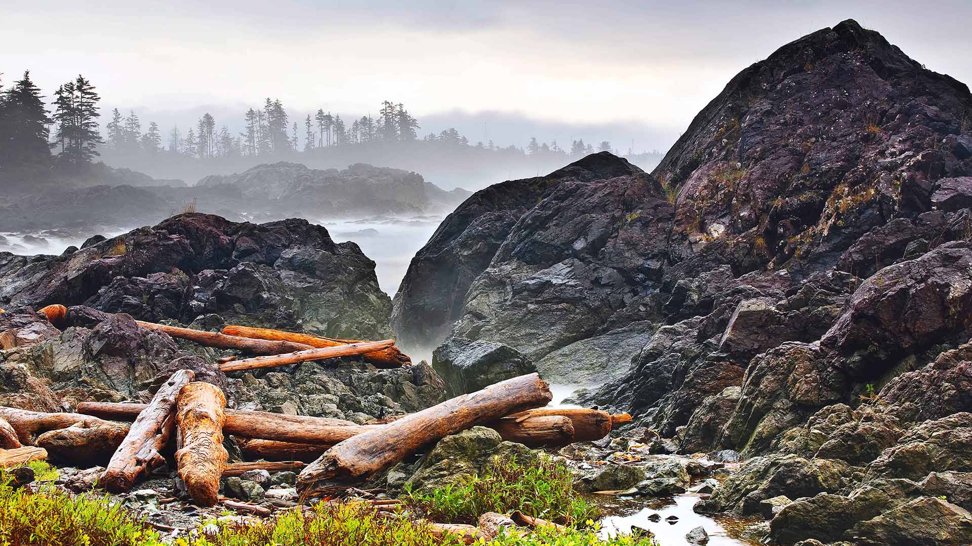 Western coast. Wild Pacific Trail, Vancouver Island BC. Косметика Дикие горы. Ice Waterfall Pacific Northwest British Columbia. North Pacific Wildlife Consulting.