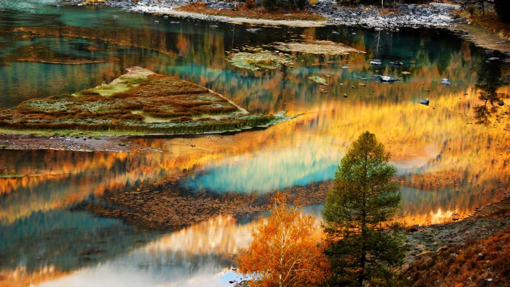 Autumn Trees – Bing Wallpaper Download