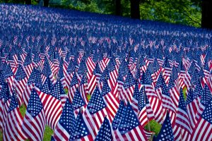 Boston Commons Flag