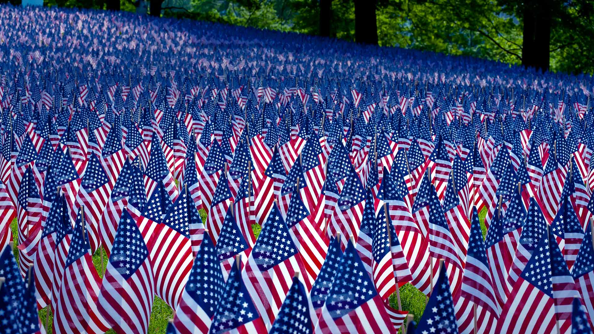 Boston Commons Flag