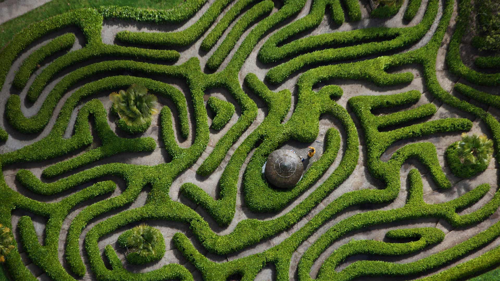 Cherry Laurel Maze