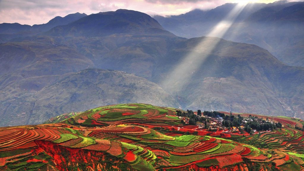 Colorful Terraces