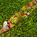 Floating Market