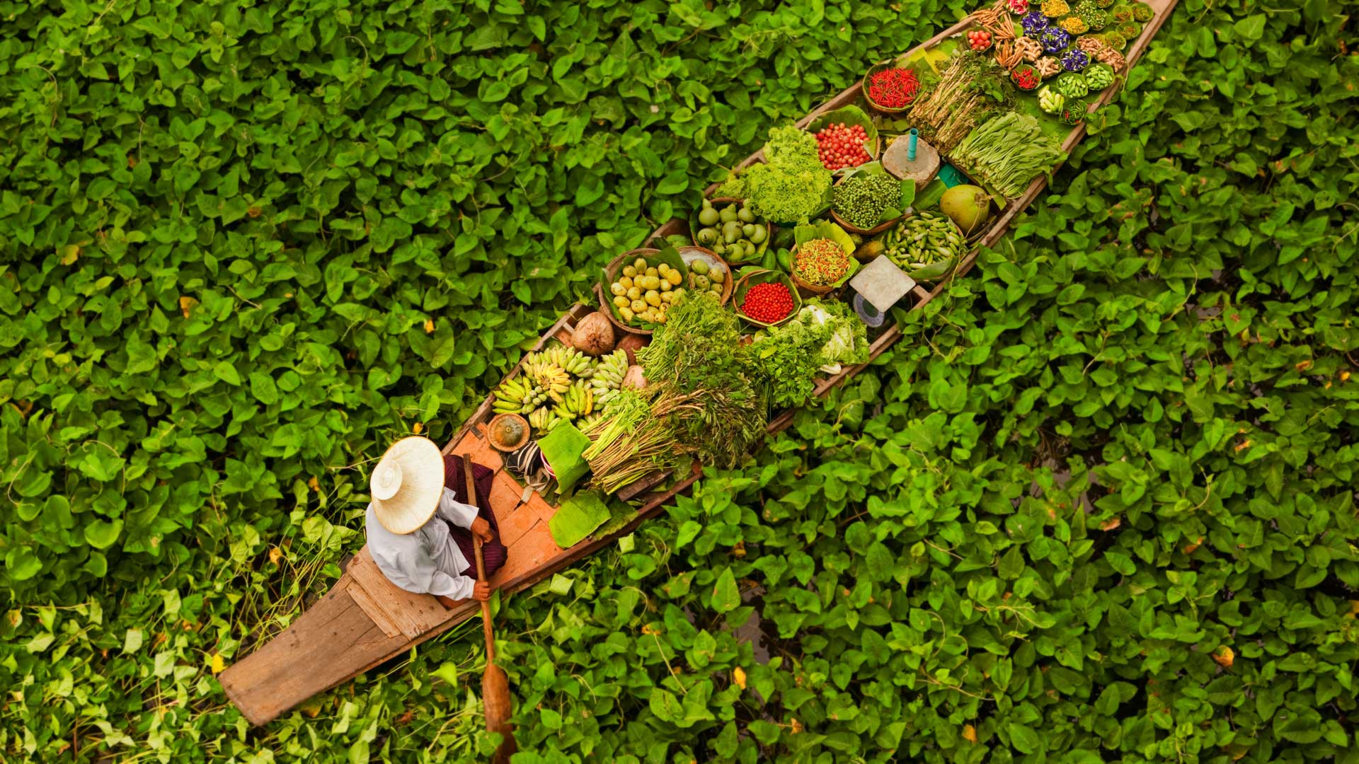 Floating Market