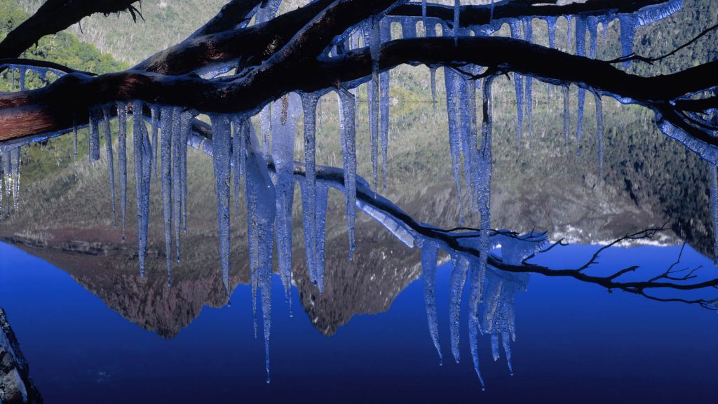 Icicles Cradle Mountain