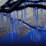 Icicles Cradle Mountain