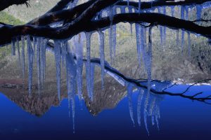 Icicles Cradle Mountain