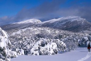 Mount Lovick Skier