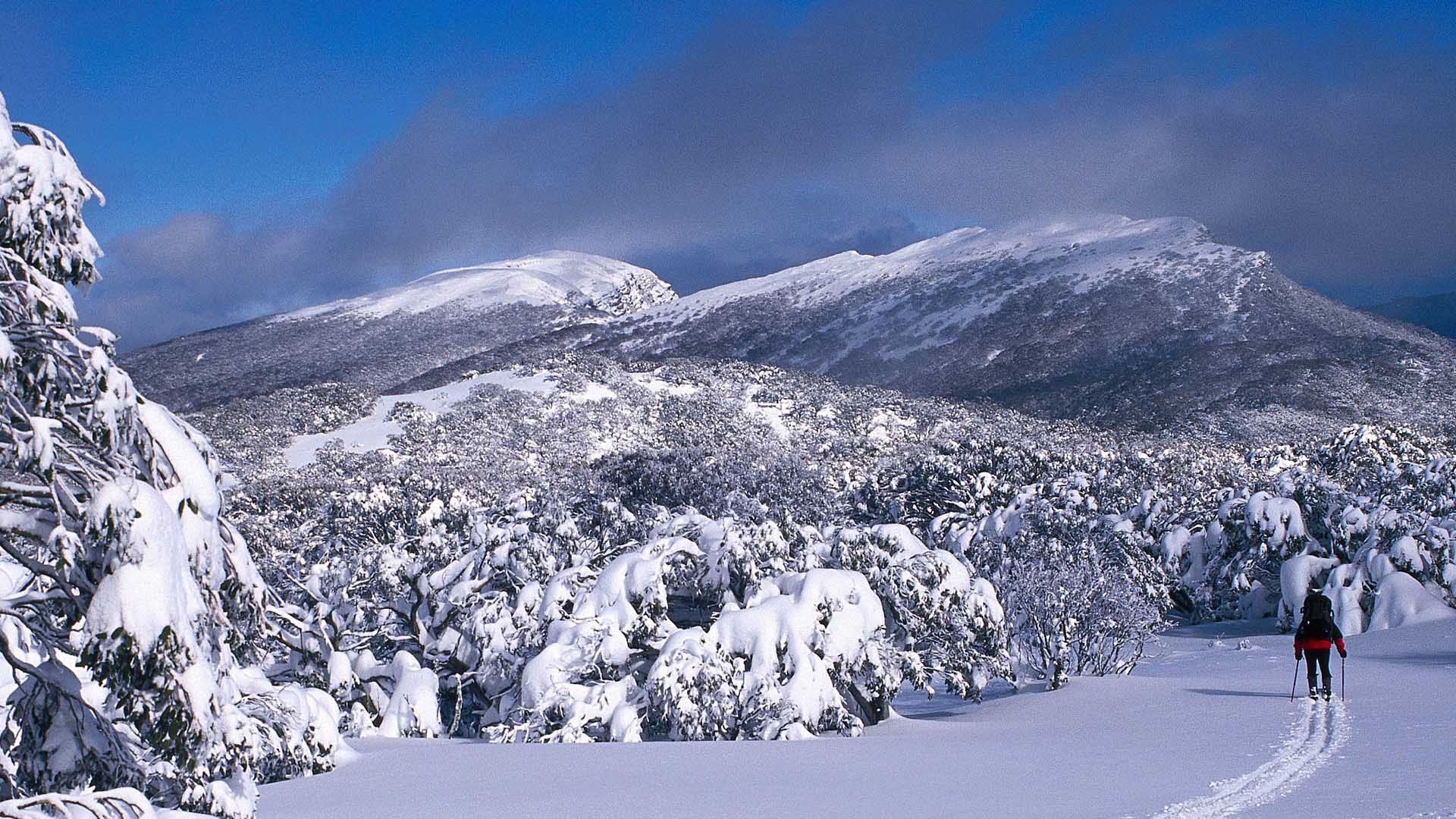 Mount Lovick Skier