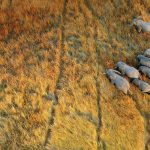 Okavango Delta