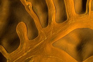 Palouse Farming