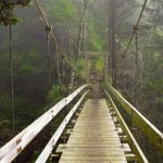 Tsocowis Creek Bridge