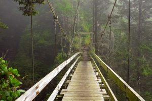 Tsocowis Creek Bridge