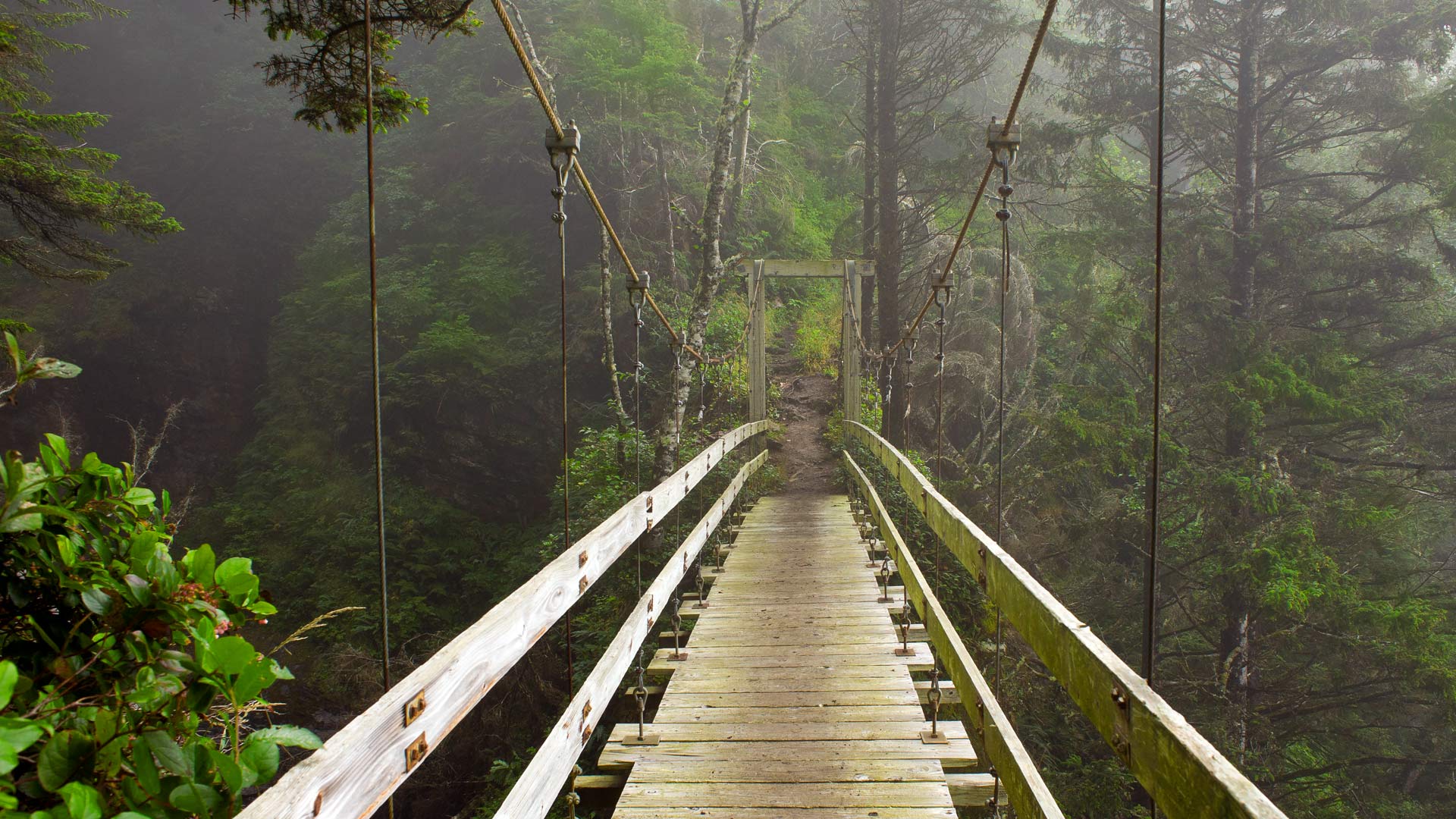 Tsocowis Creek Bridge