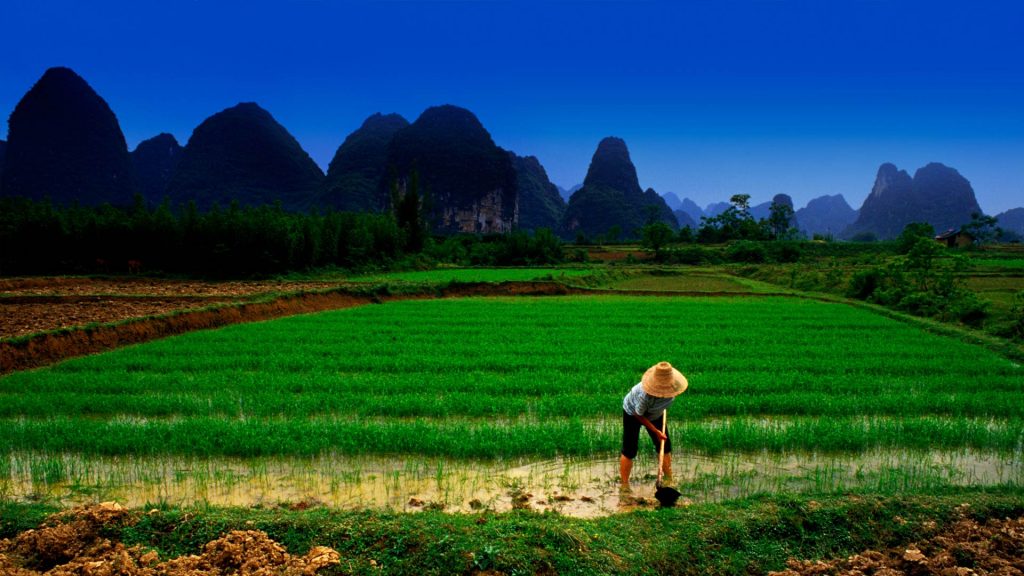 Working Farmer – Bing Wallpaper Download