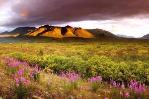 Yukon Sky