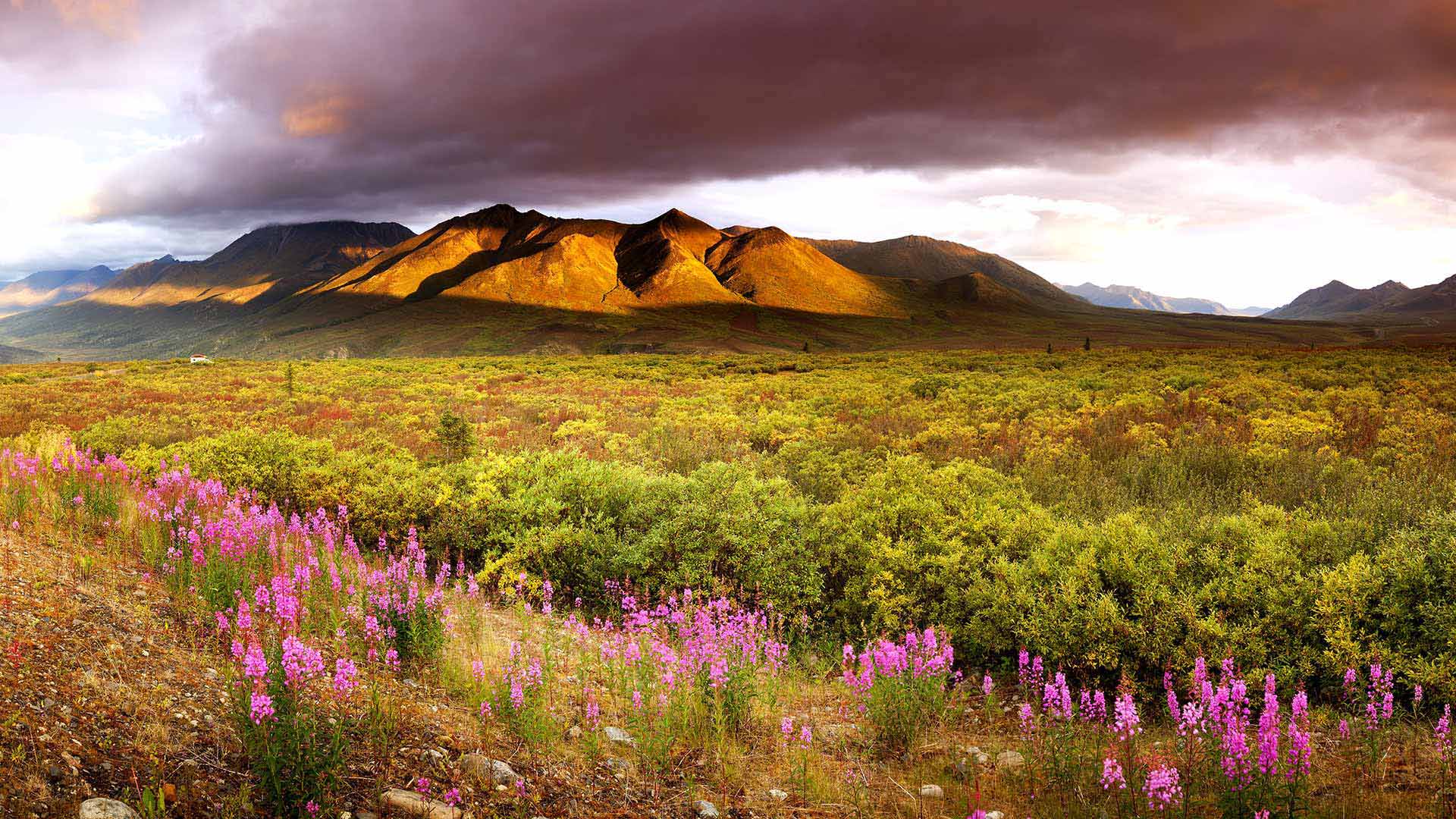 Yukon Sky