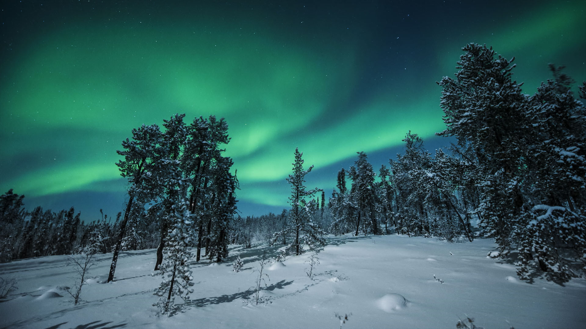 Aurora Yellowknife