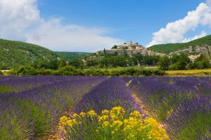 Banon Provence