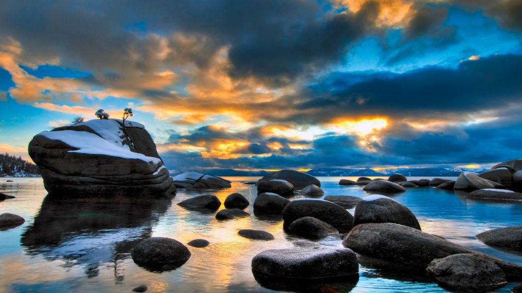 Bonsai Rock