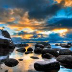 Bonsai Rock