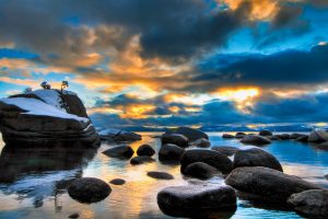 Bonsai Rock