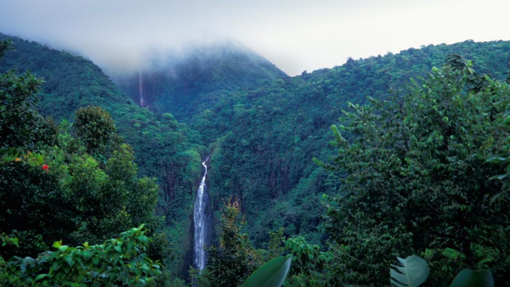 Carbet Falls Guadeloupe