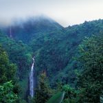 Carbet Falls Guadeloupe