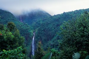 Carbet Falls Guadeloupe