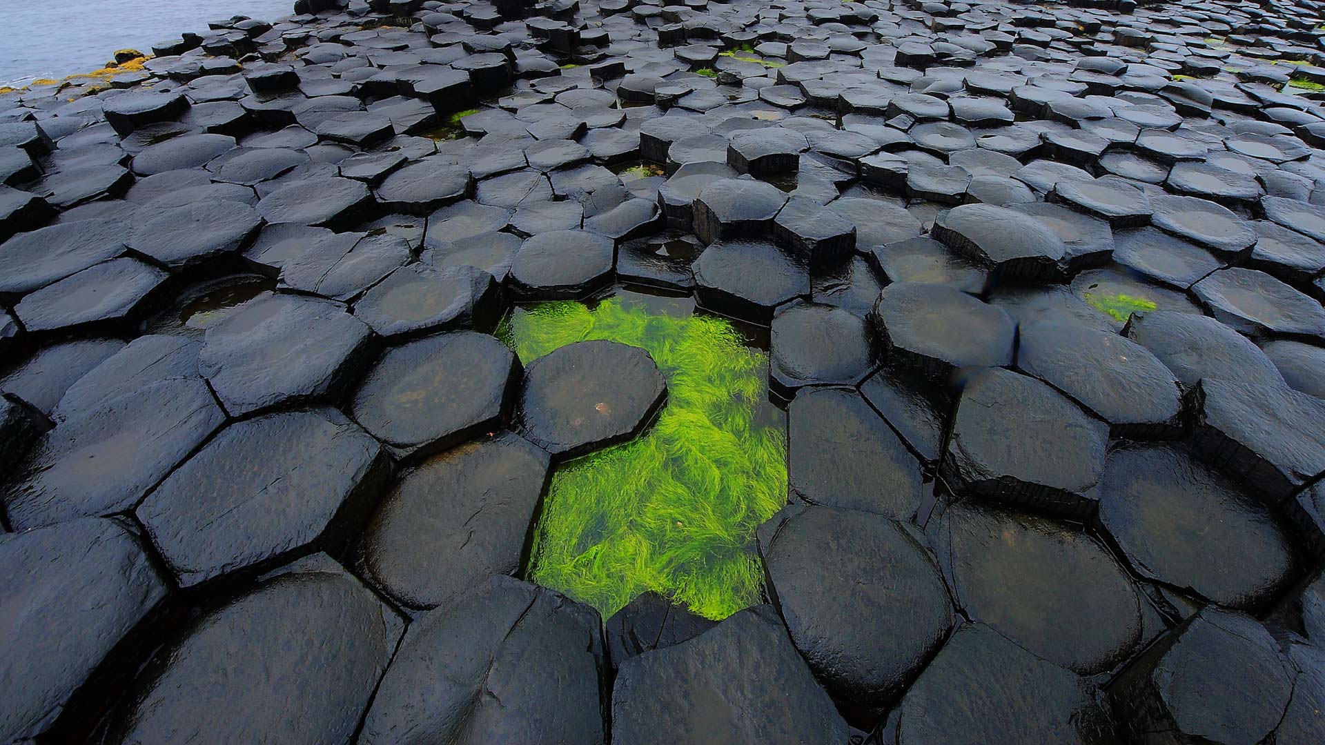 Causeway Coast