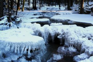 Germany Icy Creek